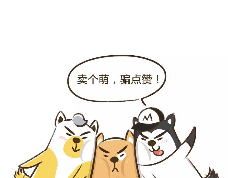 第8话 女人是老虎