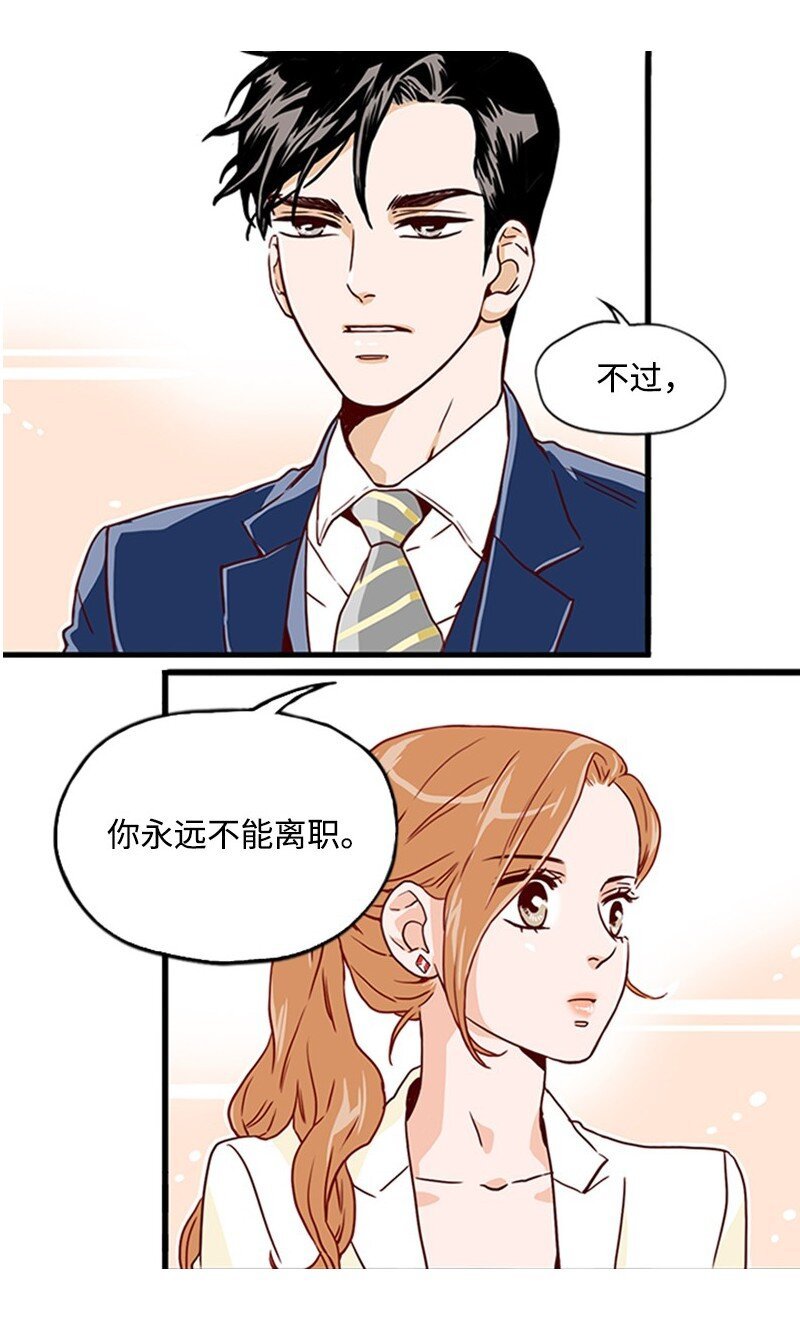 联动 金秘书上线啦
