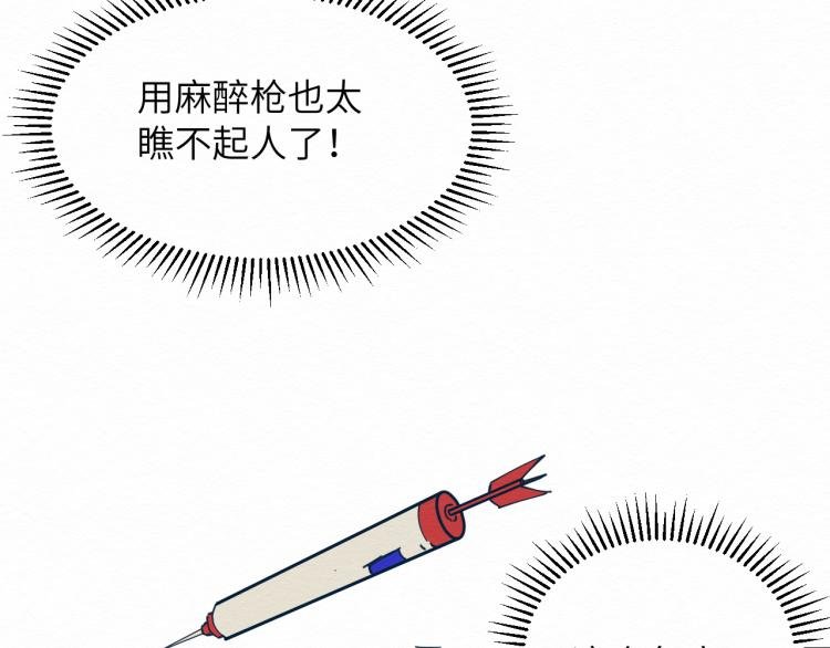 大战一触即发，可惜了！