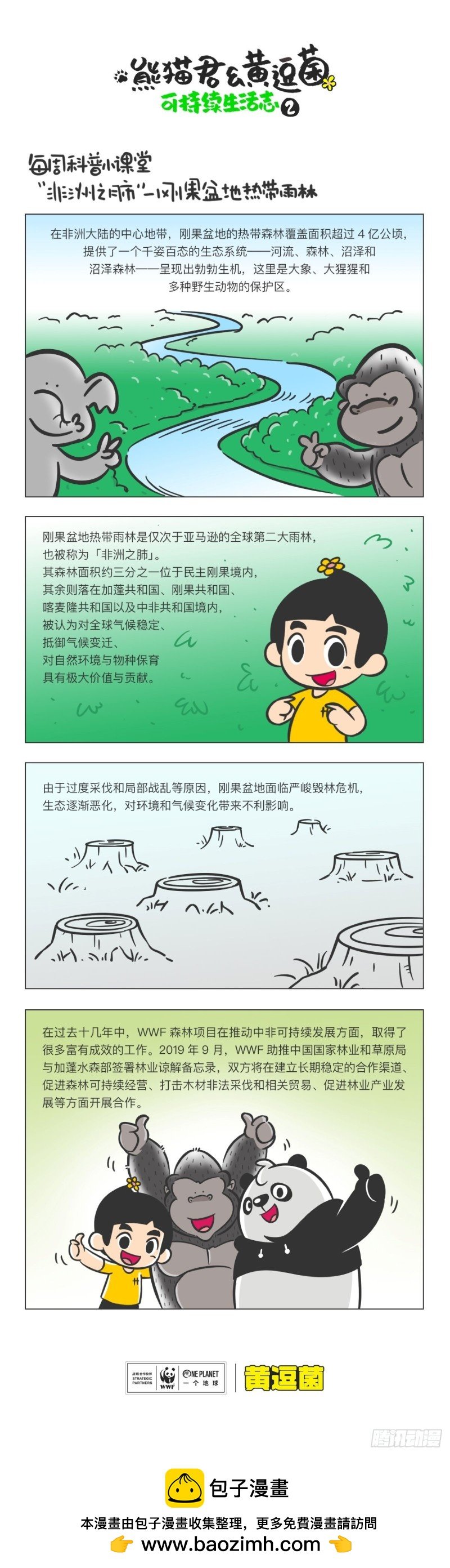 科普番外——刚果盆地热带雨林