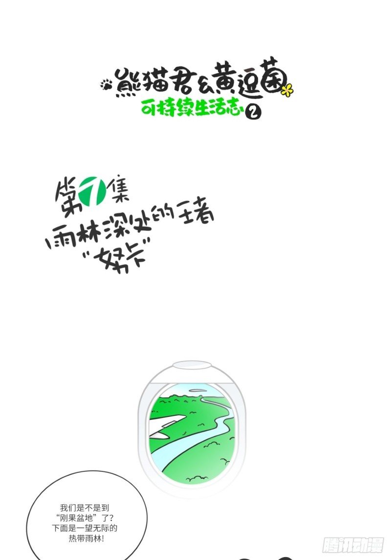 第7话 雨林深处的王者“努卡”