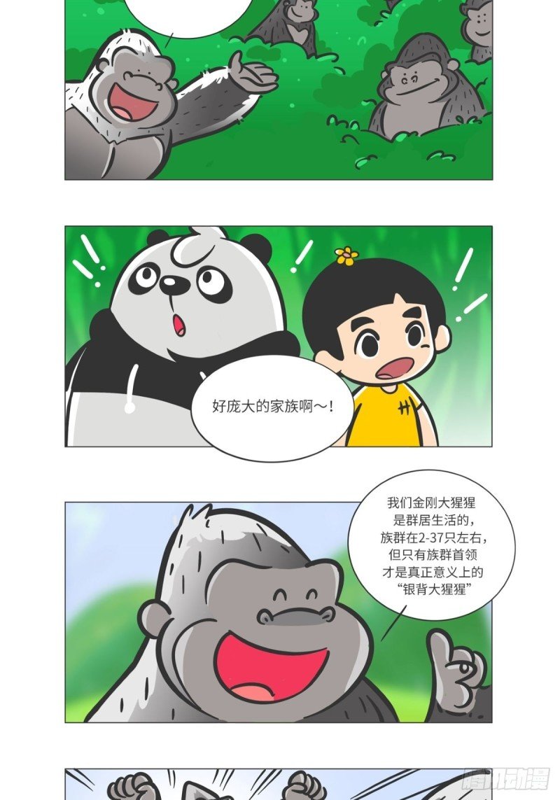 第7话 雨林深处的王者“努卡”