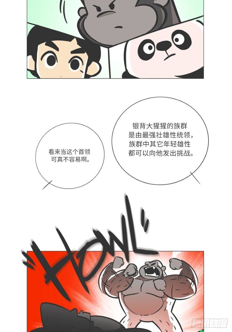 第7话 雨林深处的王者“努卡”