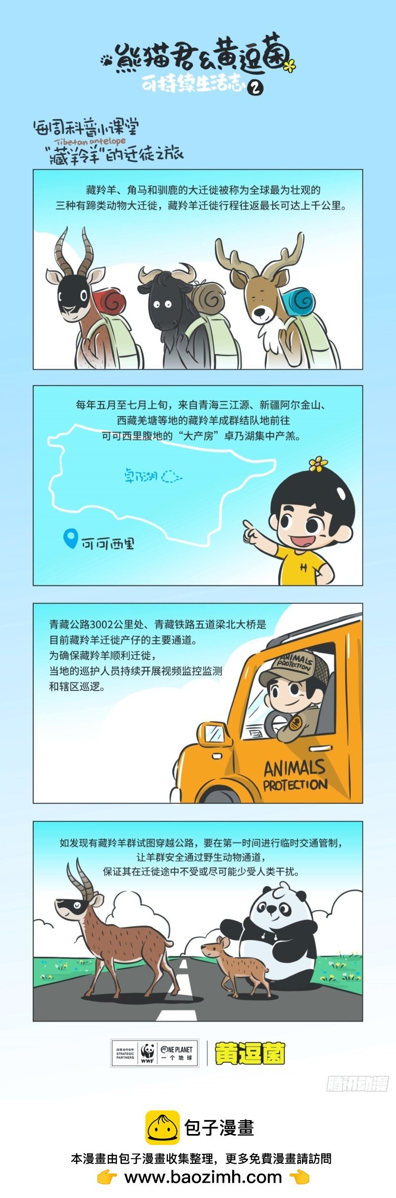 科普番外——藏羚羊的迁徙之旅