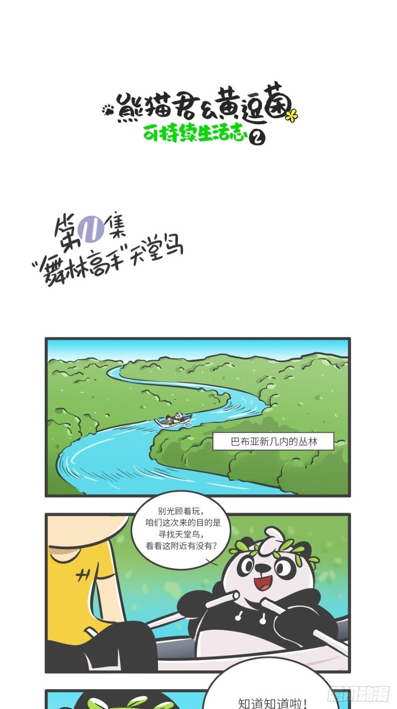 第11话 “舞林高手”天堂鸟