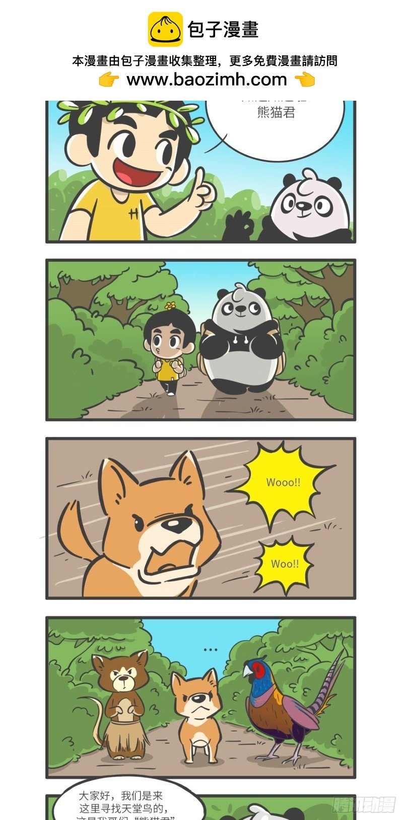 第11话 “舞林高手”天堂鸟
