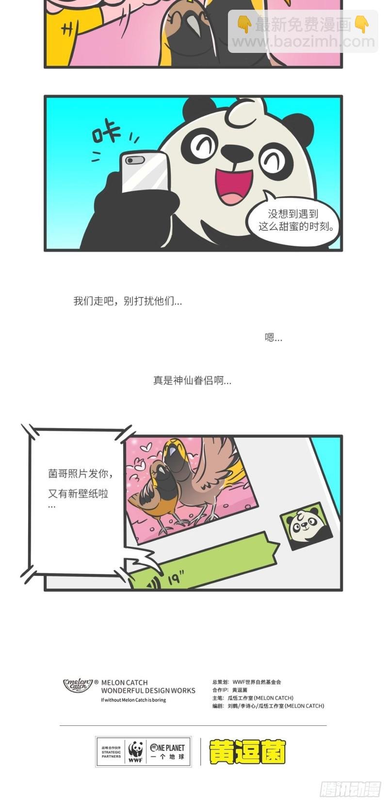 第11话 “舞林高手”天堂鸟
