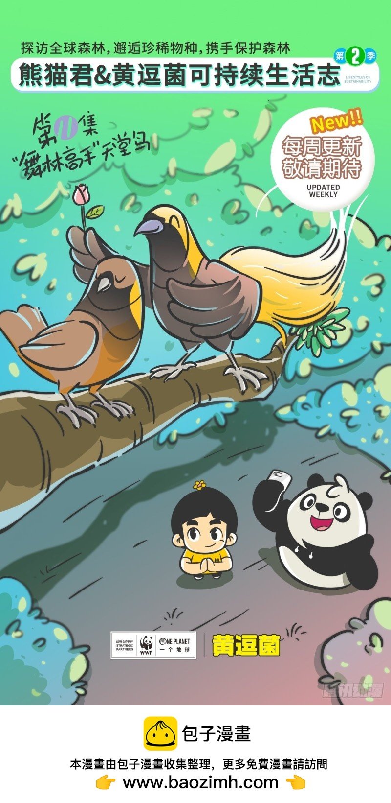 第11话 “舞林高手”天堂鸟
