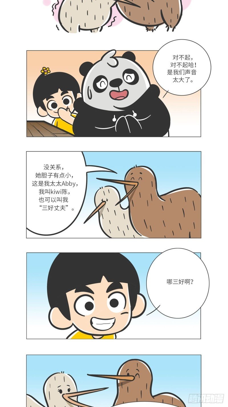 第10话 满满爱的几维鸟