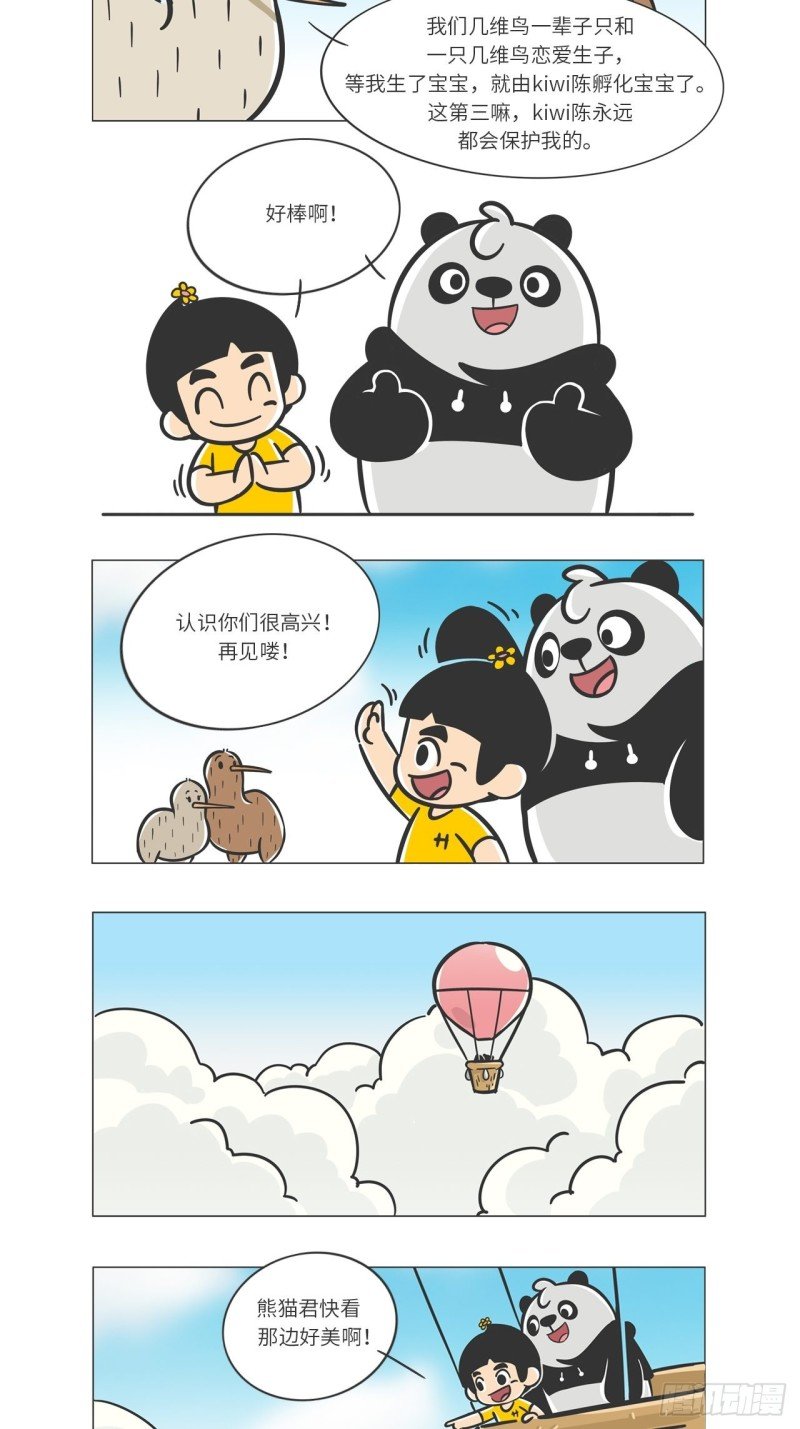第10话 满满爱的几维鸟
