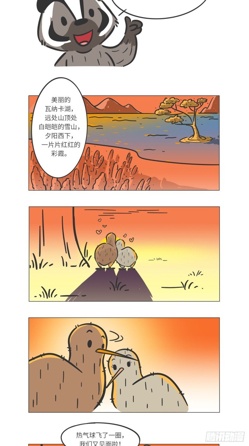 第10话 满满爱的几维鸟