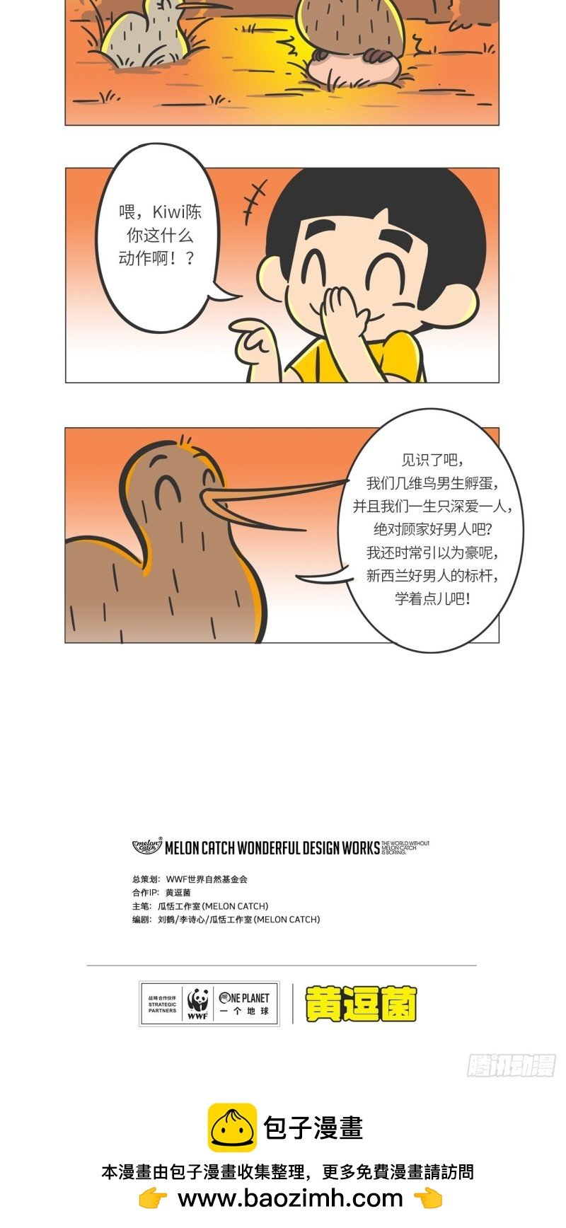 第10话 满满爱的几维鸟