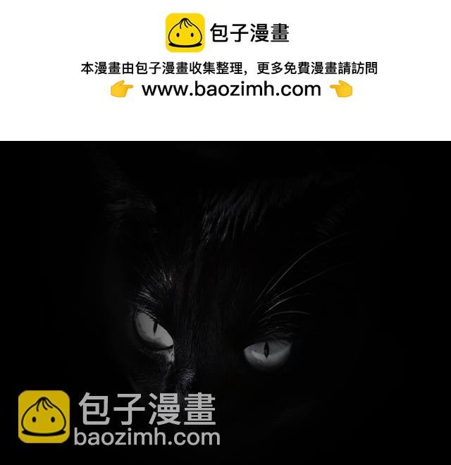 安全小区—九命猫