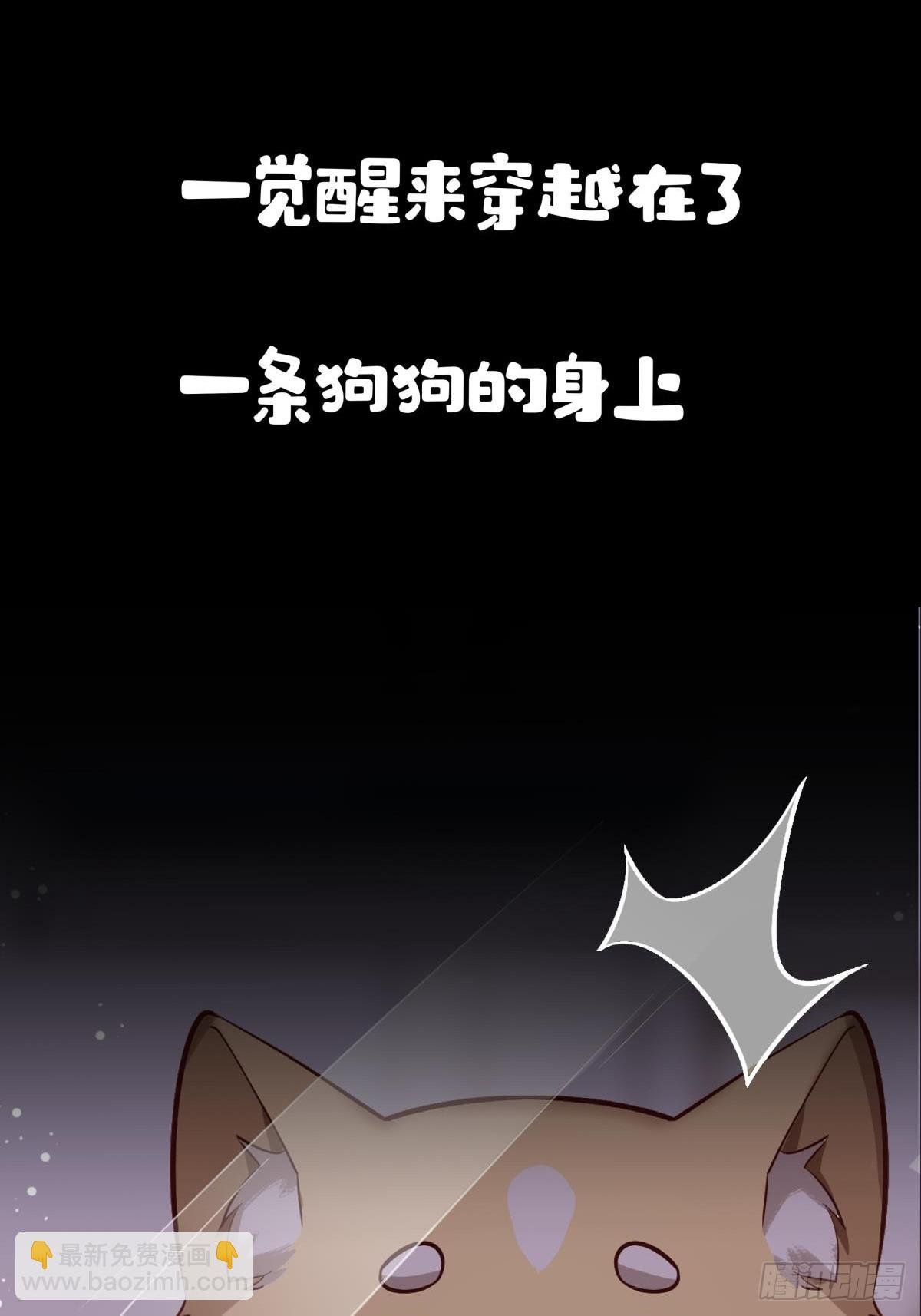 预告