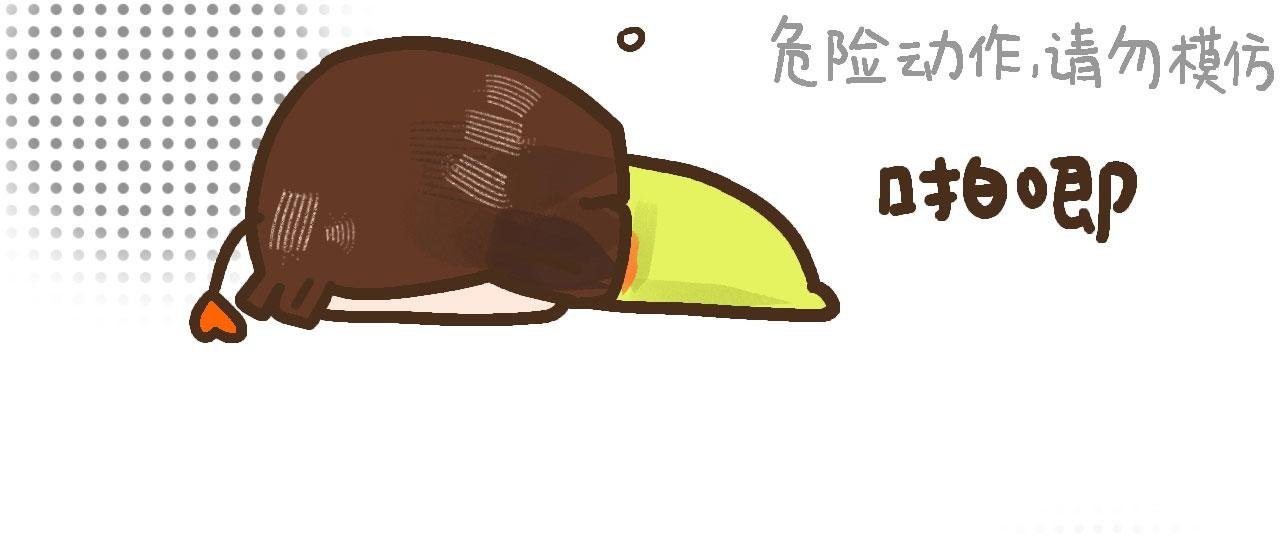 遇见