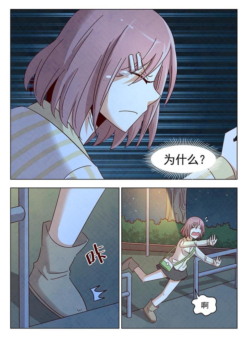 17（3）