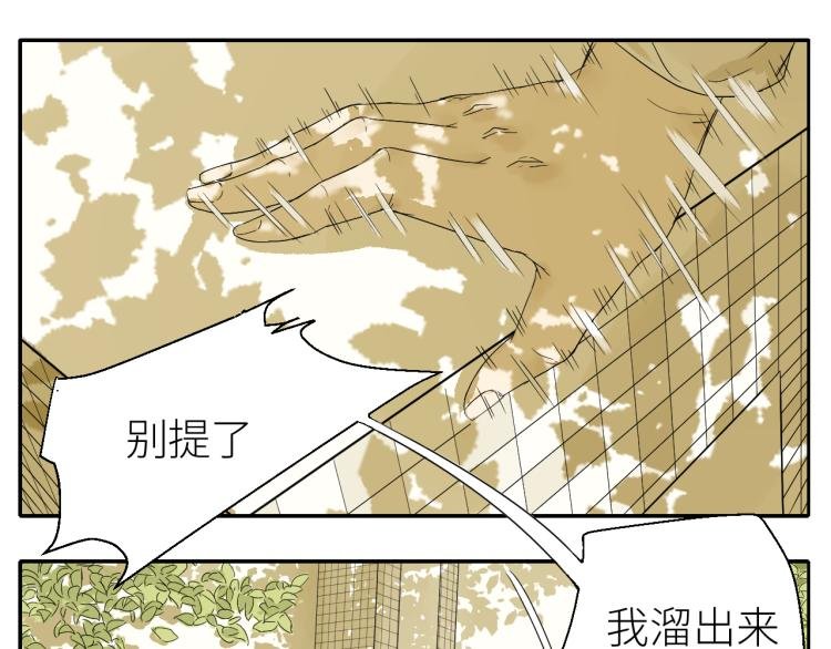 5 冤家路窄,逃无可逃....