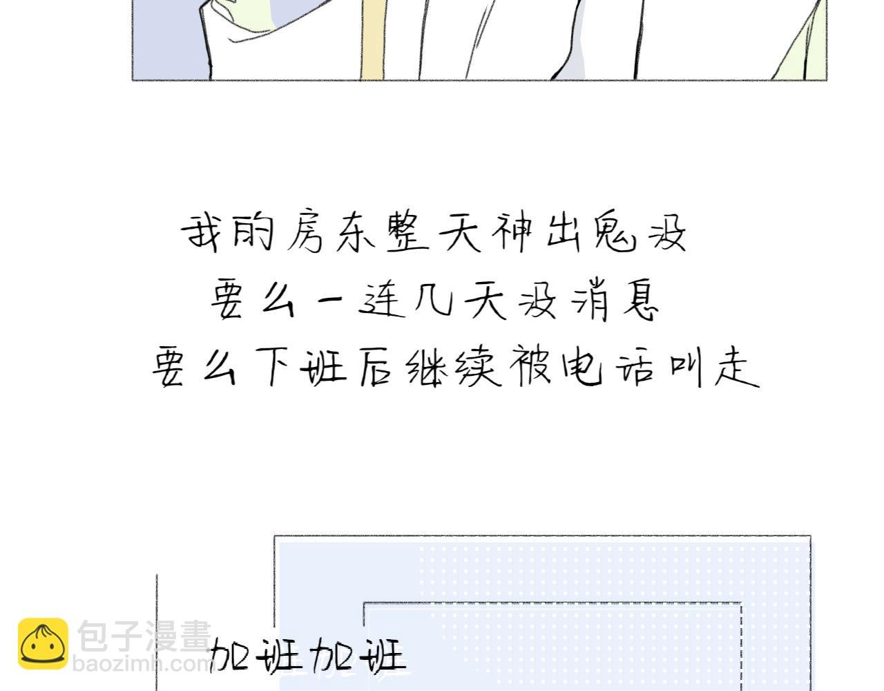逗猫
