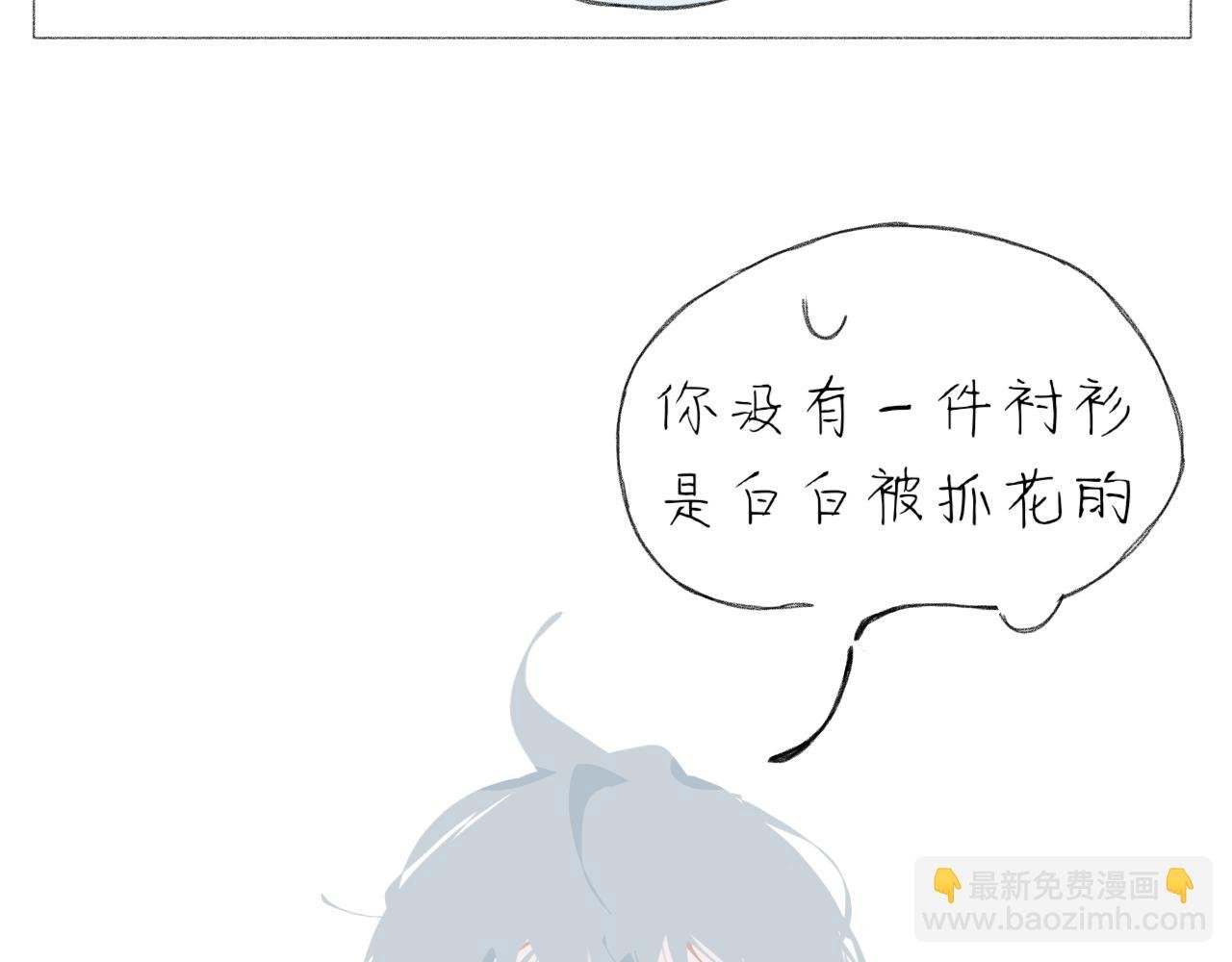 逗猫