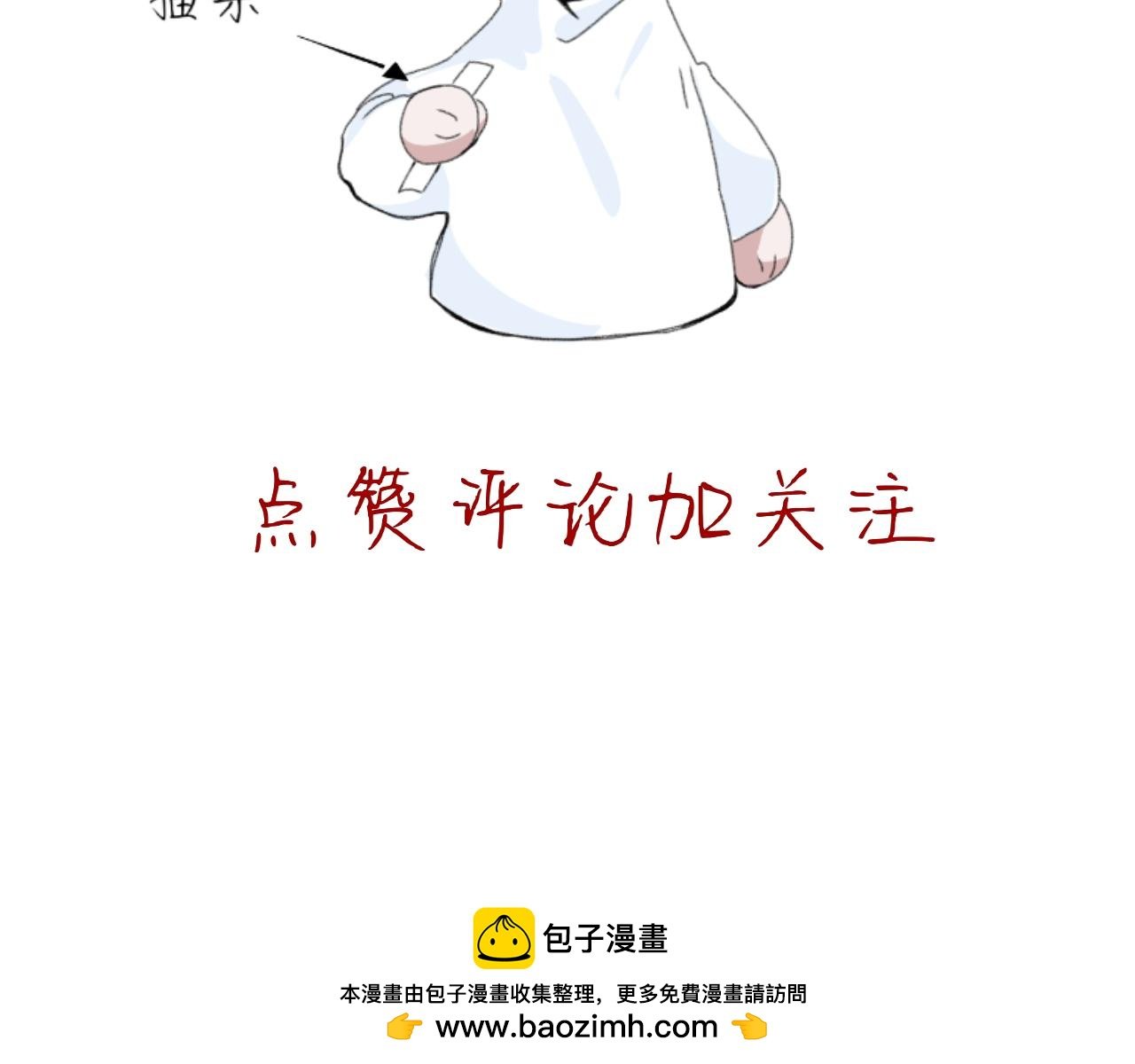 逗猫
