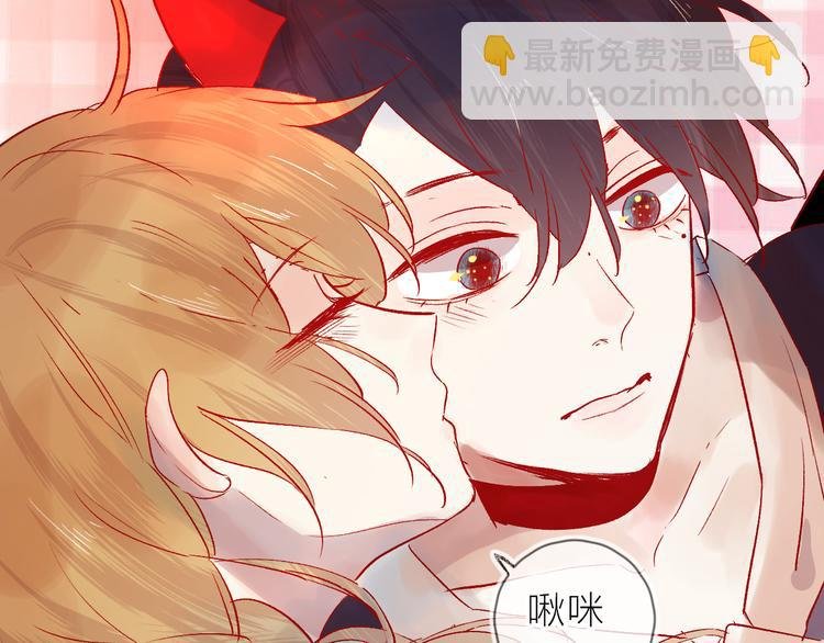 番外篇：井哲小记者出动！