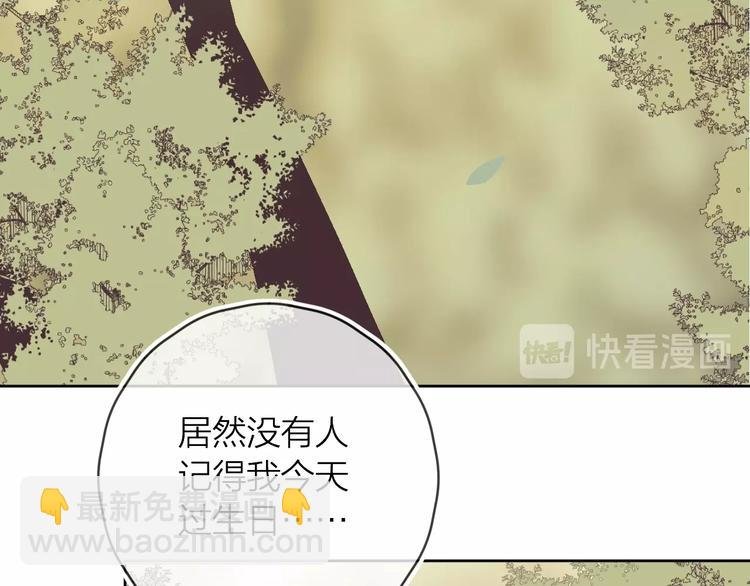 番外 被遗忘的生日