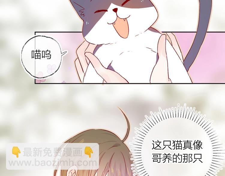 第13话 逆转的感情