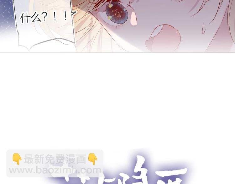 第51话 生日快乐