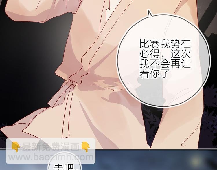 第74话 放鸽子的原因