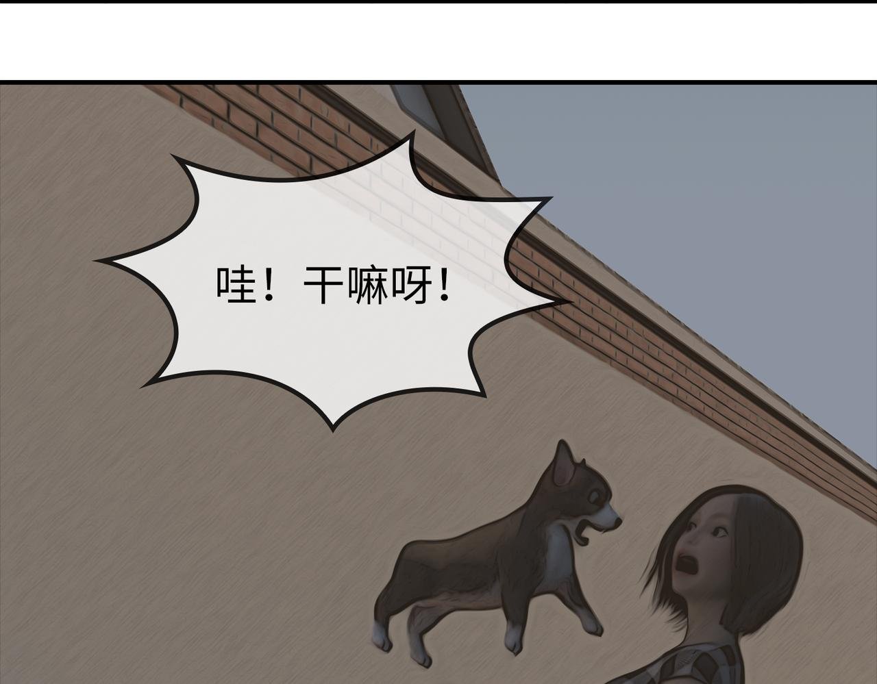 03 欺负小动物的都是怂货