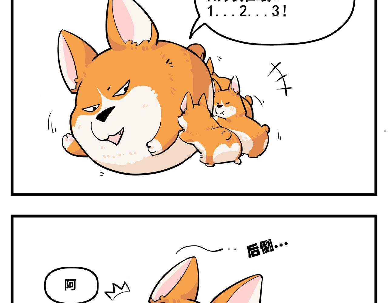 司基拉的训练