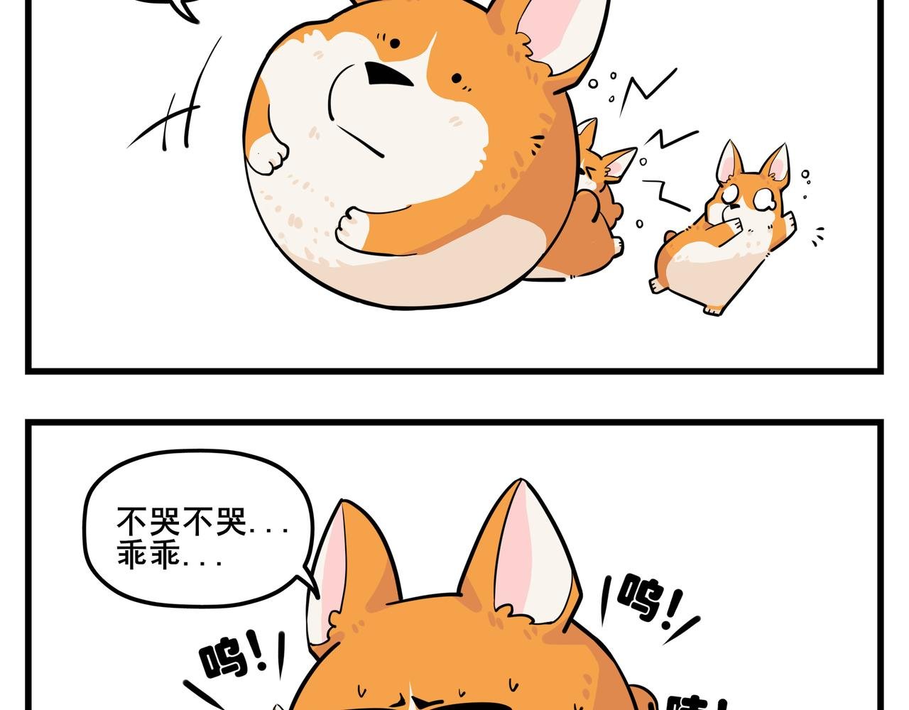 司基拉的训练