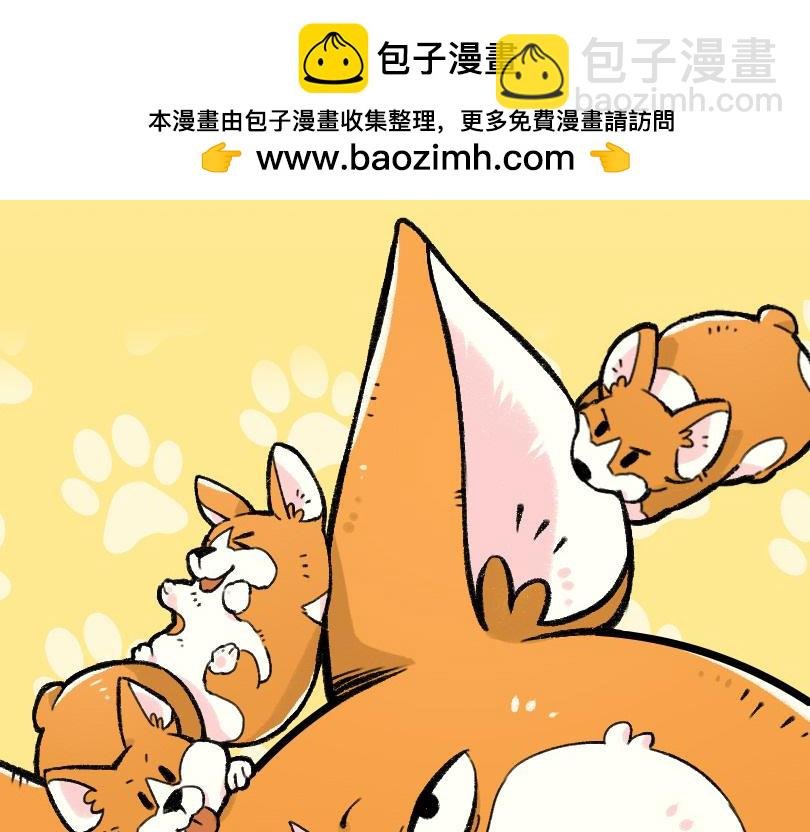 司基拉的努力