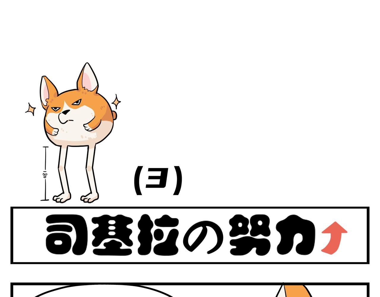 司基拉的努力