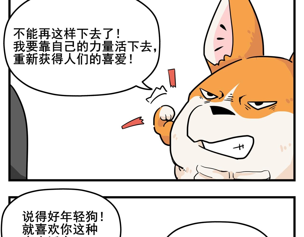 司基拉的努力