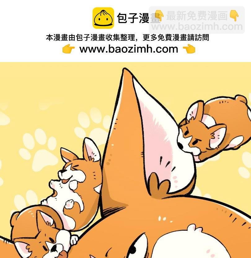 司基拉的前半生