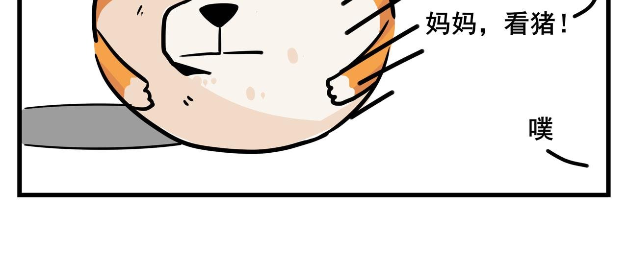 司基拉的前半生