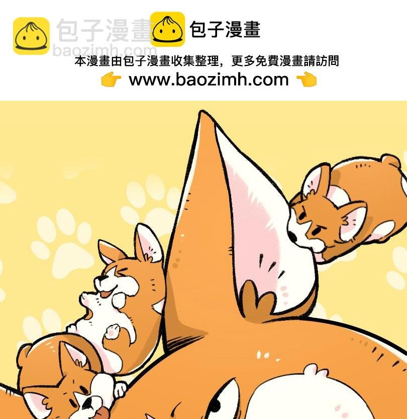 如“胶”似漆