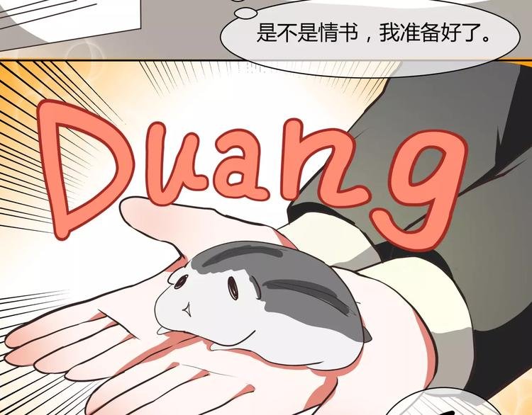第6话 工作室来了小仓鼠