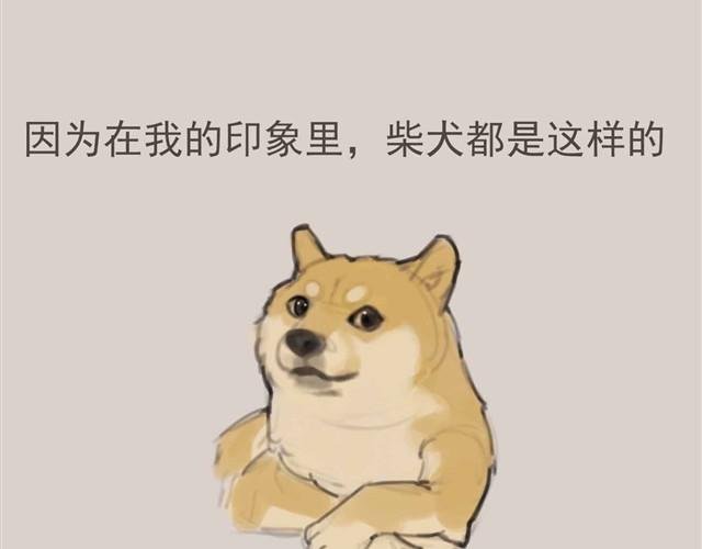 我是大熊，我的柴犬叫安妮