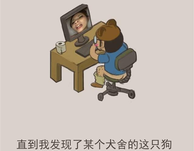 我是大熊，我的柴犬叫安妮