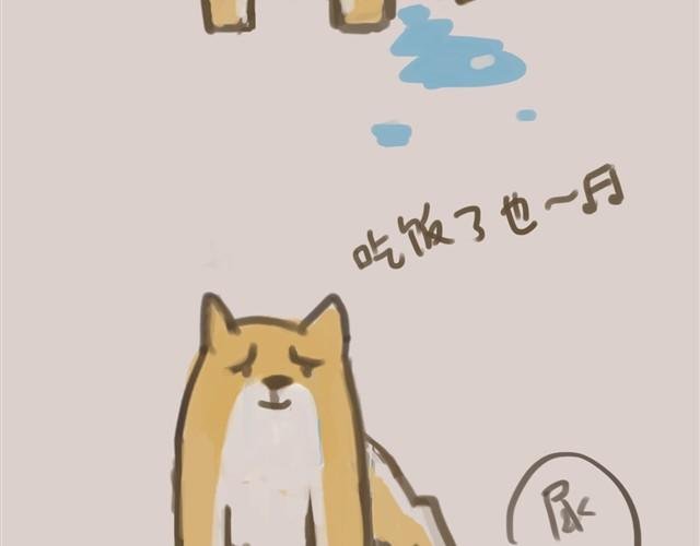 我是大熊，我的柴犬叫安妮