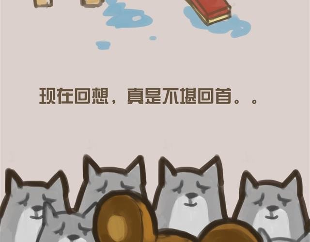我是大熊，我的柴犬叫安妮
