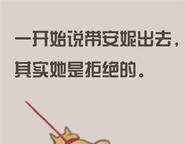 我是大熊，我的柴犬叫安妮