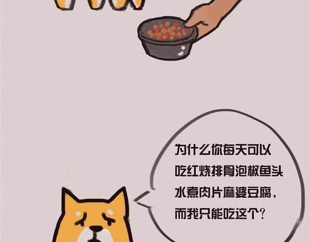 专业守门员安妮