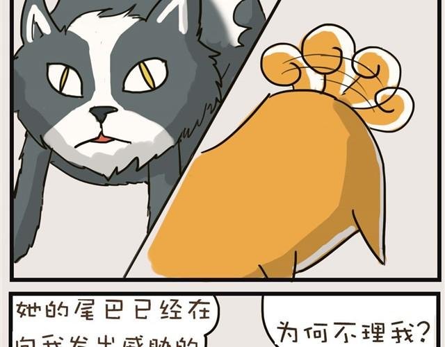 安妮学会握手了！