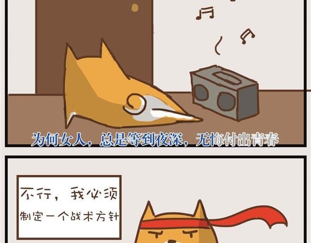大熊你为什么不带我出门！