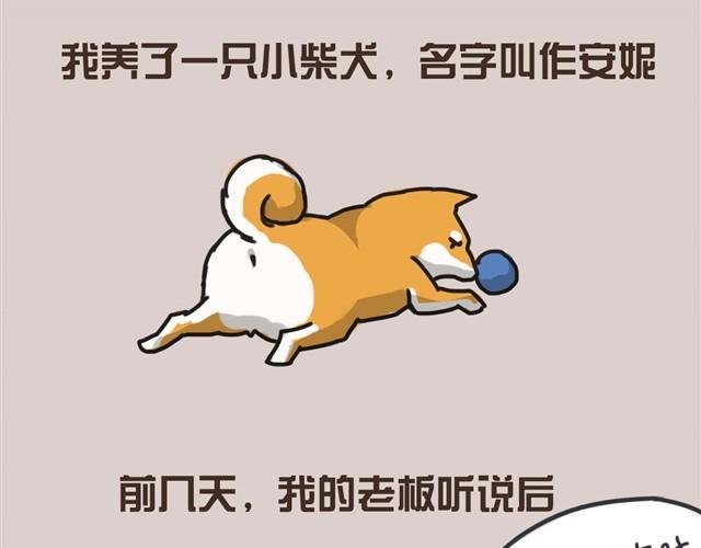 带安妮去公司于是空气凝固了