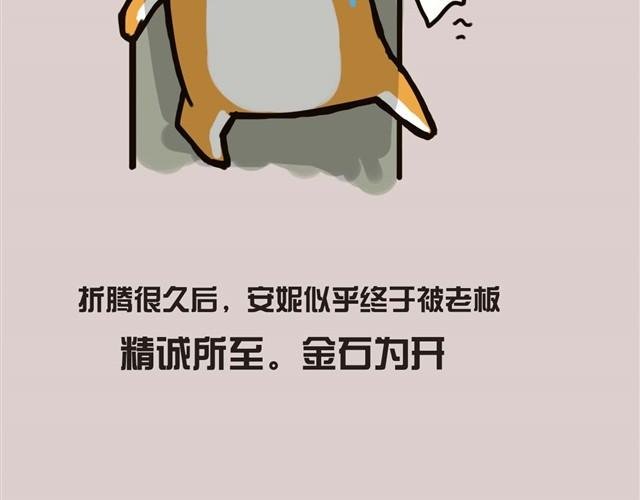 带安妮去公司于是空气凝固了
