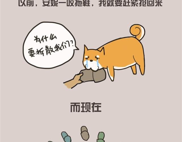 我还是喜欢尿在原来的客厅